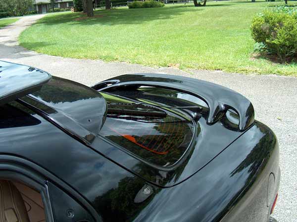 rear window shade